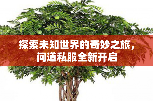 探索未知世界的奇妙之旅图片
