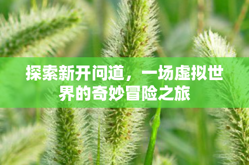 一场虚拟世界的奇妙冒险之旅图片