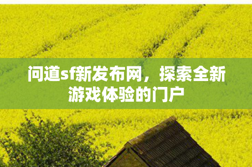 探索全新游戏体验的门户图片