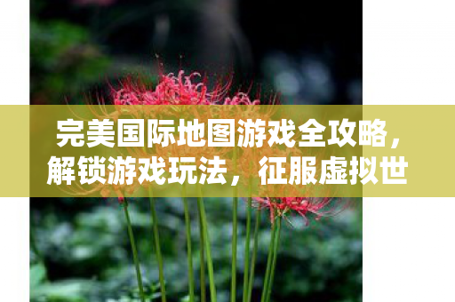 完美国际地图游戏全攻略图片