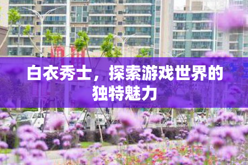 白衣秀士,探索游戏世界的独特魅力 白衣秀士,探索游戏世界的独特魅力