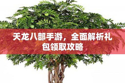 全面解析礼包领取攻略图片
