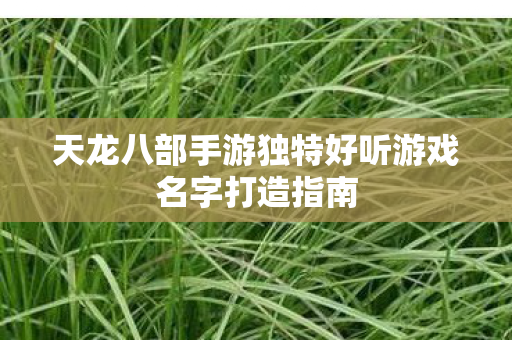 天龙八部手游独特好听游戏名字打造指南图片