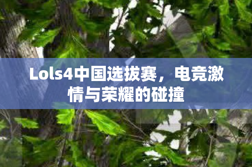 Lols4中国选拔赛图片