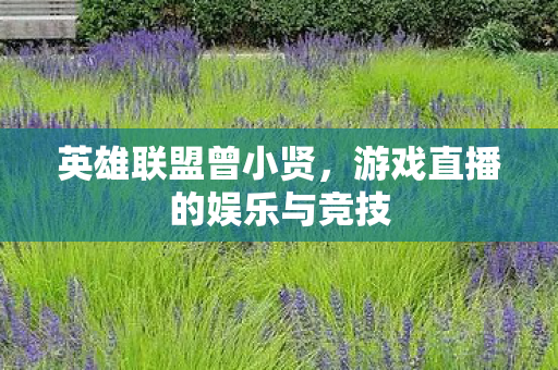 游戏直播的娱乐与竞技图片