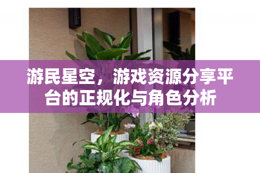 游戏资源分享平台的正规化与角色分析图片