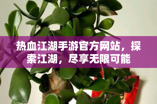 热血江湖手游官方网站图片