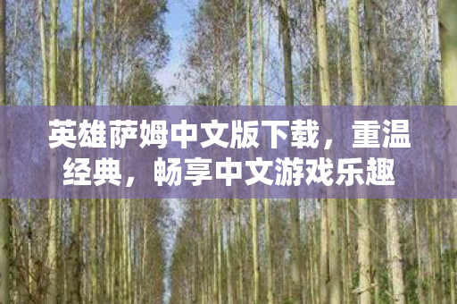 英雄萨姆中文版下载,重温经典,畅享中文游戏乐趣 英雄萨姆中文版下载,重温经典,畅享中文游戏乐趣