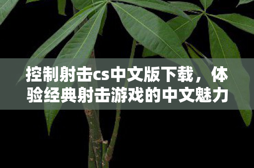 控制射击cs中文版下载,体验经典射击游戏的中文魅力 控制射击cs中文版下载,体验经典射击游戏的中文魅力