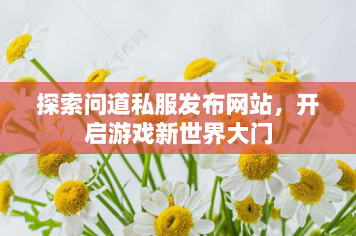 探索问道私服发布网站图片