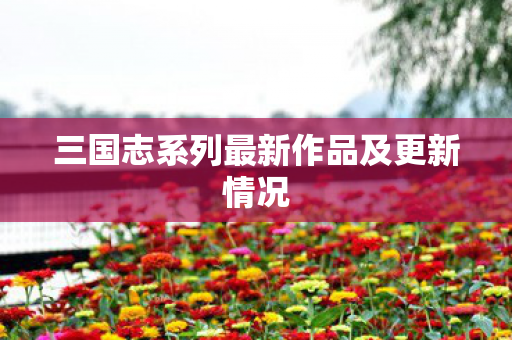 三国志系列最新作品及更新情况图片