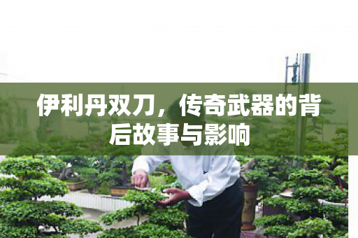 伊利丹双刀,传奇武器的背后故事与影响 伊利丹双刀,传奇武器的背后故事与影响