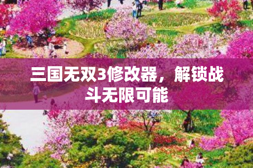 三国无双3修改器,解锁战斗无限可能 三国无双3修改器,解锁战斗无限可能