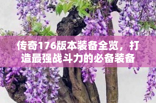 打造最强战斗力的必备装备图片
