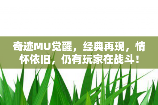 奇迹MU觉醒,经典再现,情怀依旧,仍有玩家在战斗! 奇迹MU觉醒,经典再现,情怀依旧,仍有玩家在战斗!