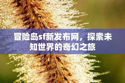 探索未知世界的奇幻之旅图片