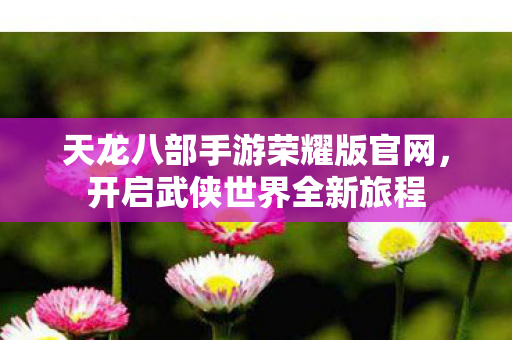 天龙八部手游荣耀版官网图片