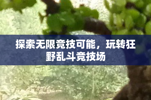 探索无限竞技可能,玩转狂野乱斗竞技场 探索无限竞技可能,玩转狂野乱斗竞技场