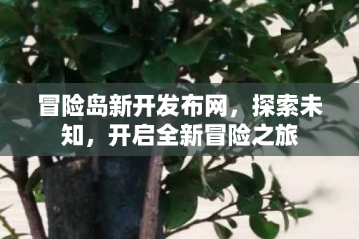 冒险岛新开发布网图片