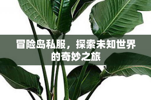 探索未知世界的奇妙之旅图片