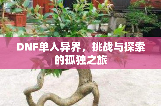 DNF单人异界,挑战与探索的孤独之旅 DNF单人异界,挑战与探索的孤独之旅