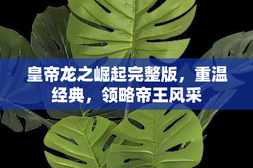 皇帝龙之崛起完整版，重温经典，领略帝王风采