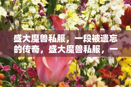 盛大魔兽私服,一段被遗忘的传奇,盛大魔兽私服,一段被遗忘的传奇岁月 盛大魔兽私服,一段被遗忘的传奇,盛大魔兽私服,一段被遗忘的传奇岁月