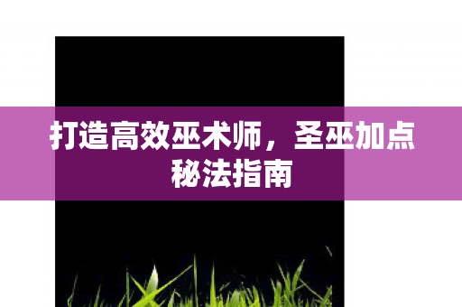 打造高效巫术师,圣巫加点秘法指南 打造高效巫术师,圣巫加点秘法指南