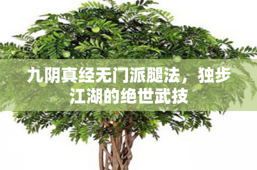 九阴真经无门派腿法,独步江湖的绝世武技 九阴真经无门派腿法,独步江湖的绝世武技