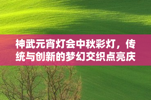 传统与创新的梦幻交织点亮庆典图片
