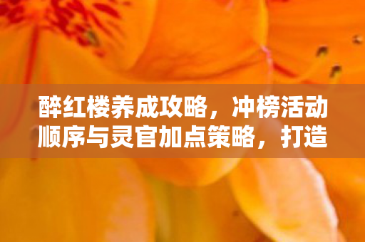 冲榜活动顺序与灵官加点策略图片