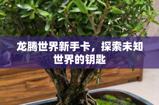 探索未知世界的钥匙图片