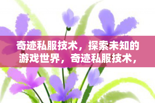 奇迹私服技术,探索未知的游戏世界,奇迹私服技术,探索未知的游戏世界 奇迹私服技术,探索未知的游戏世界,奇迹私服技术,探索未知的游戏世界