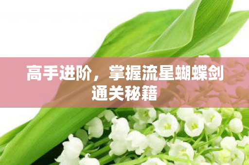 高手进阶，掌握流星蝴蝶剑通关秘籍