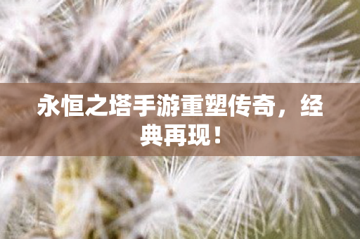 永恒之塔手游重塑传奇图片