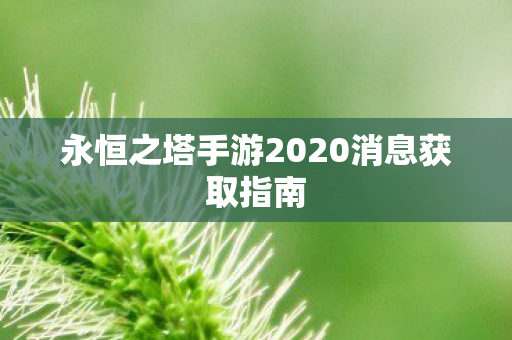 永恒之塔手游2020消息获取指南图片