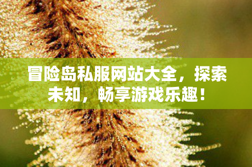 冒险岛私服网站大全图片