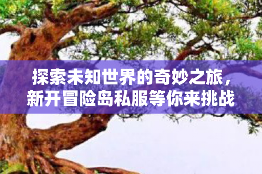 新开冒险岛私服等你来挑战图片