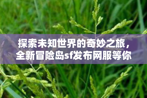全新冒险岛sf发布网服等你来挑战图片