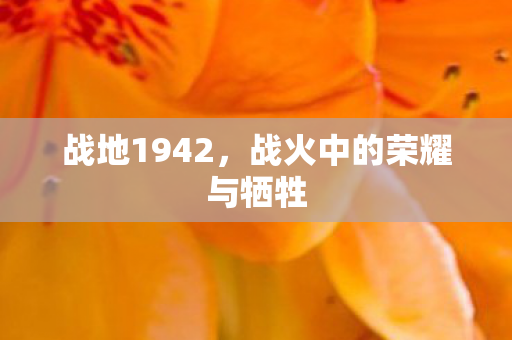 战地1942,战火中的荣耀与牺牲 战地1942,战火中的荣耀与牺牲