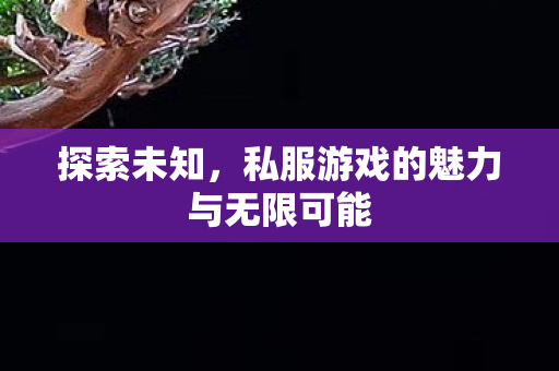 探索未知,私服游戏的魅力与无限可能 探索未知,私服游戏的魅力与无限可能