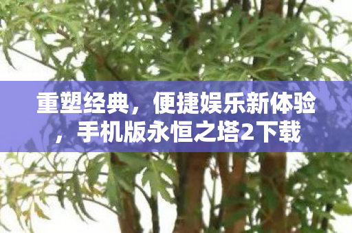 手机版永恒之塔2下载图片