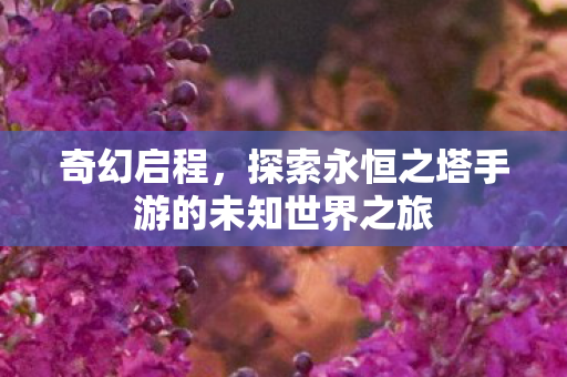 探索永恒之塔手游的未知世界之旅图片