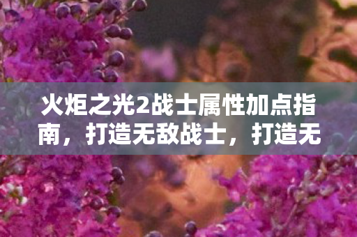 火炬之光2战士属性加点指南,打造无敌战士,打造无敌战士,火炬之光2战士属性加点指南 火炬之光2战士属性加点指南,打造无敌战士,打造无敌战士,火炬之光2战士属性加点指南