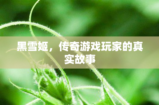 传奇游戏玩家的真实故事图片