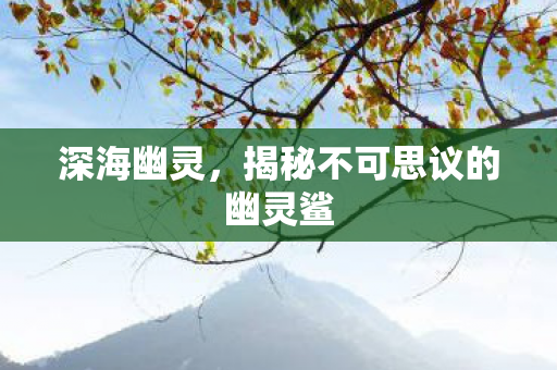 深海幽灵,揭秘不可思议的幽灵鲨 深海幽灵,揭秘不可思议的幽灵鲨
