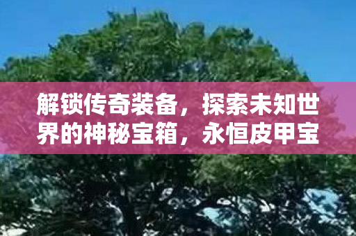 探索未知世界的神秘宝箱图片