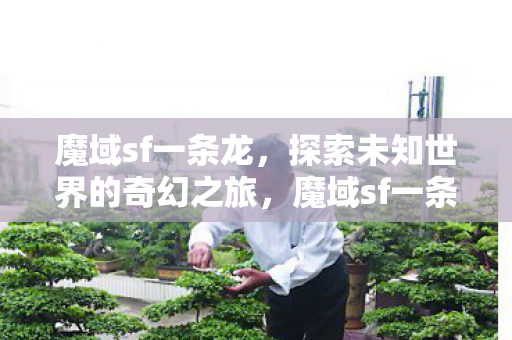 探索未知世界的奇幻之旅图片