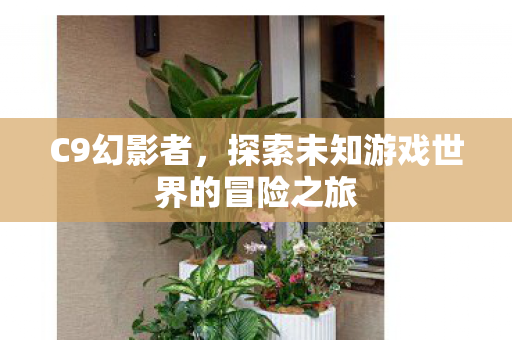 探索未知游戏世界的冒险之旅图片