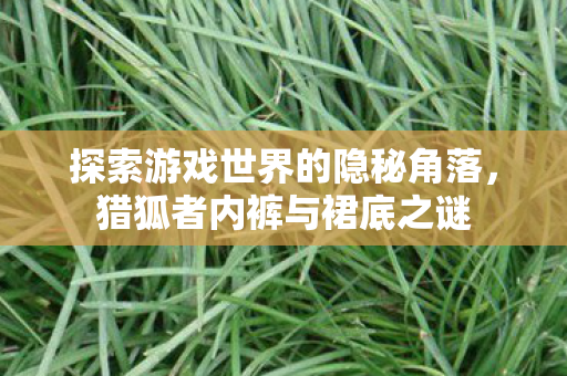 探索游戏世界的隐秘角落图片
